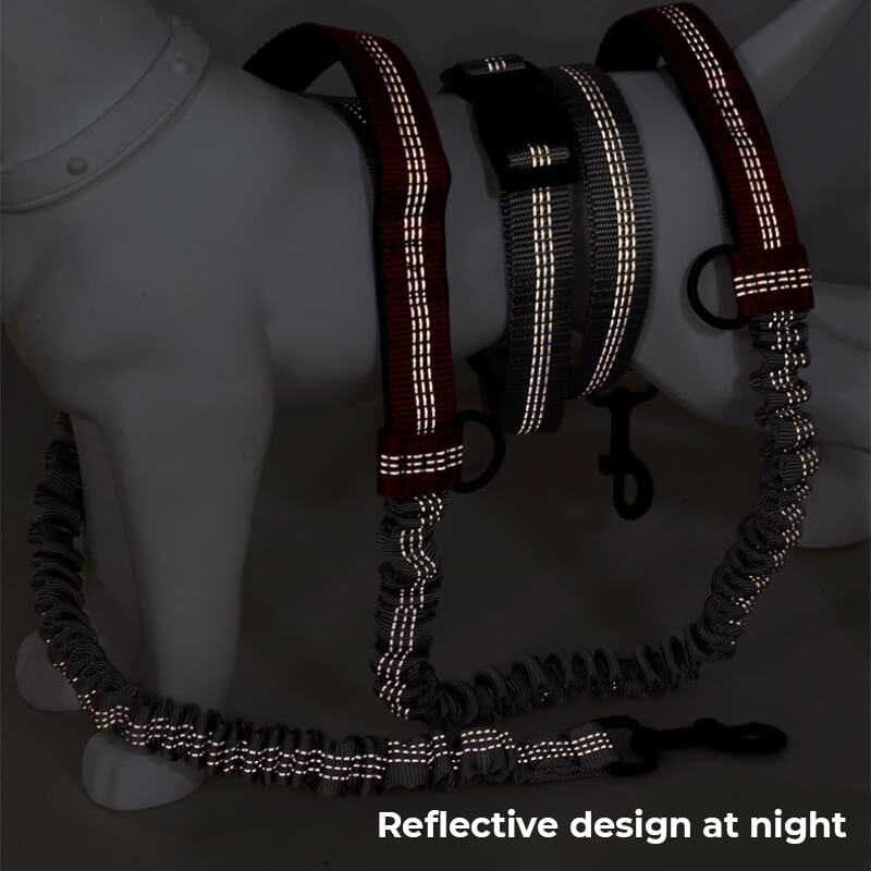 BowLift | Telescopic Double Handle Multifunctional Dog Leash