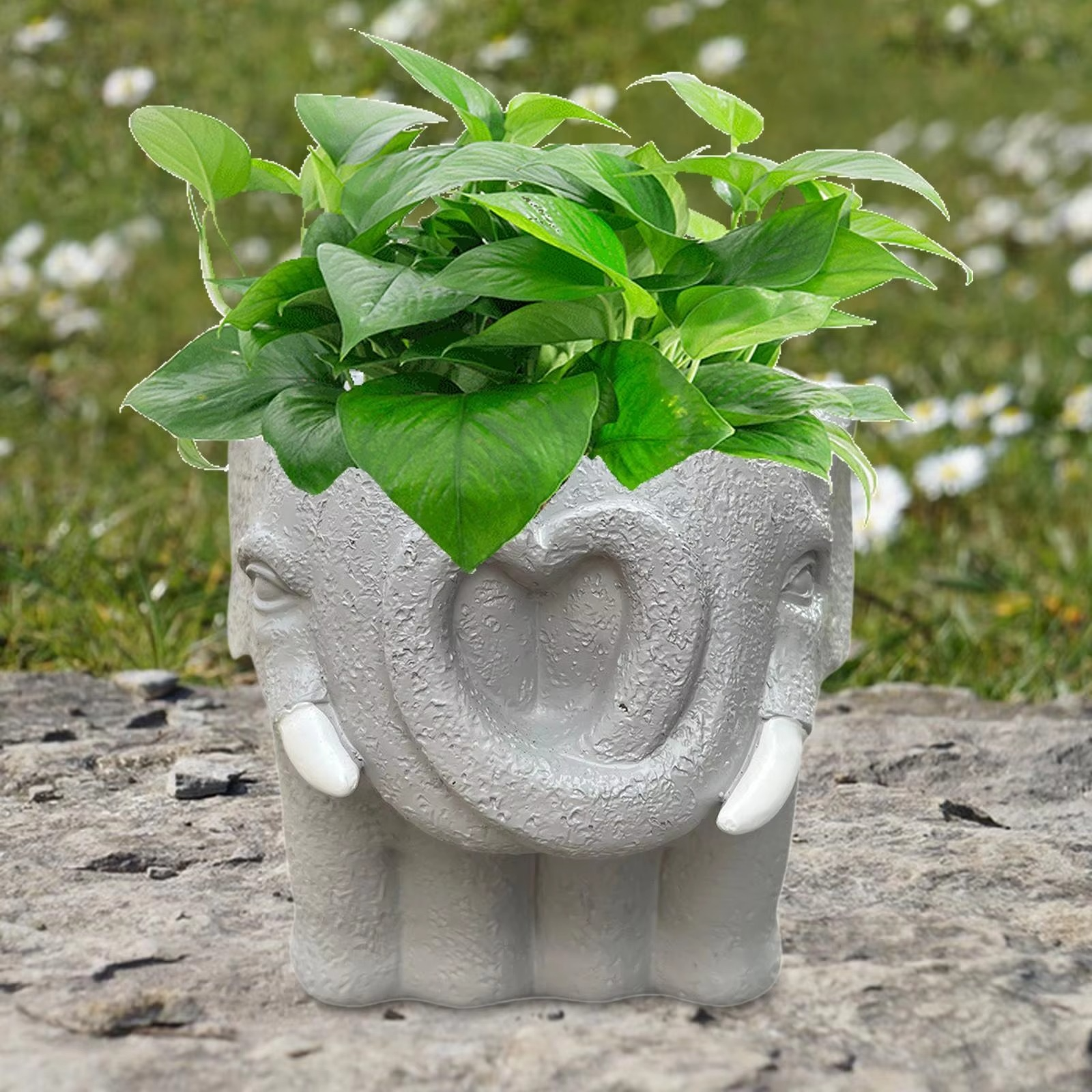 BowLift | Adorable Cartoon-Styled Mini Plant Pot for Decorative Display