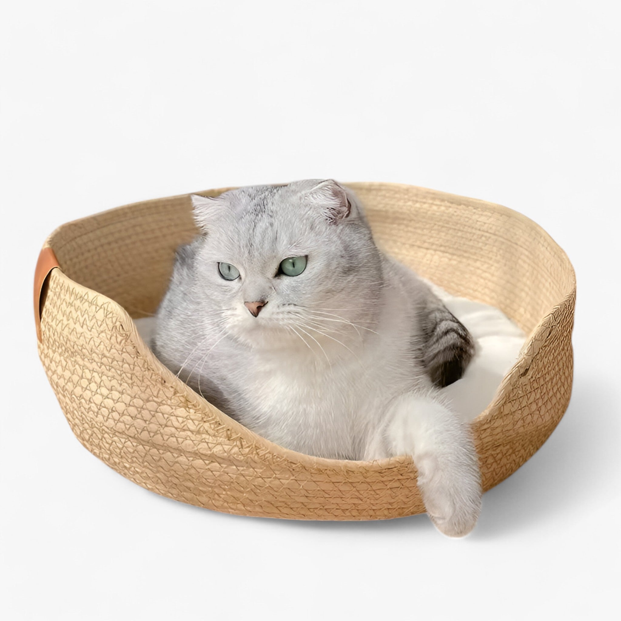 BowLift | Handwoven Bamboo Pet Bed with Soft Cushion – Luna Nest