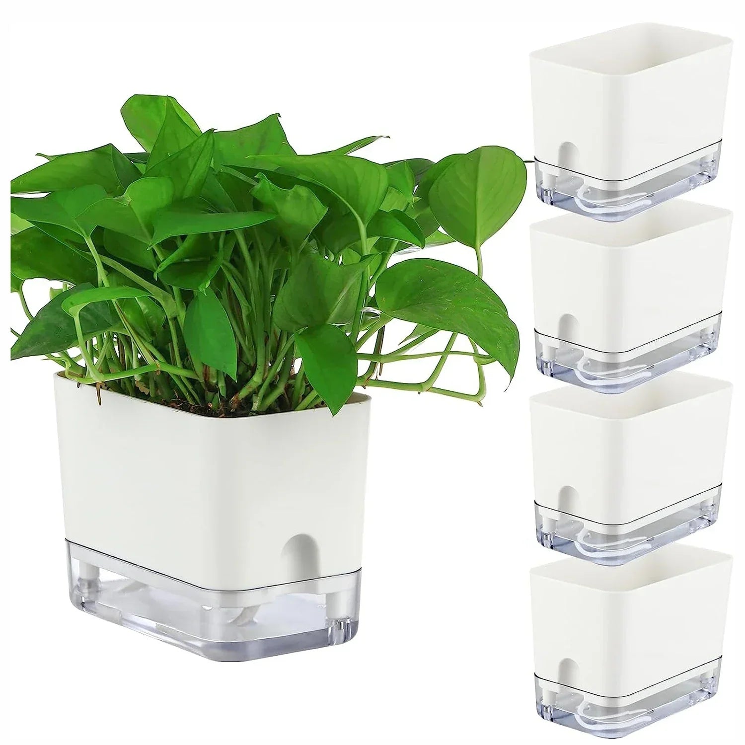 BowLift | HydroLino Flower Pot | Self-Watering | Compact & Transparent | For Indoor Use