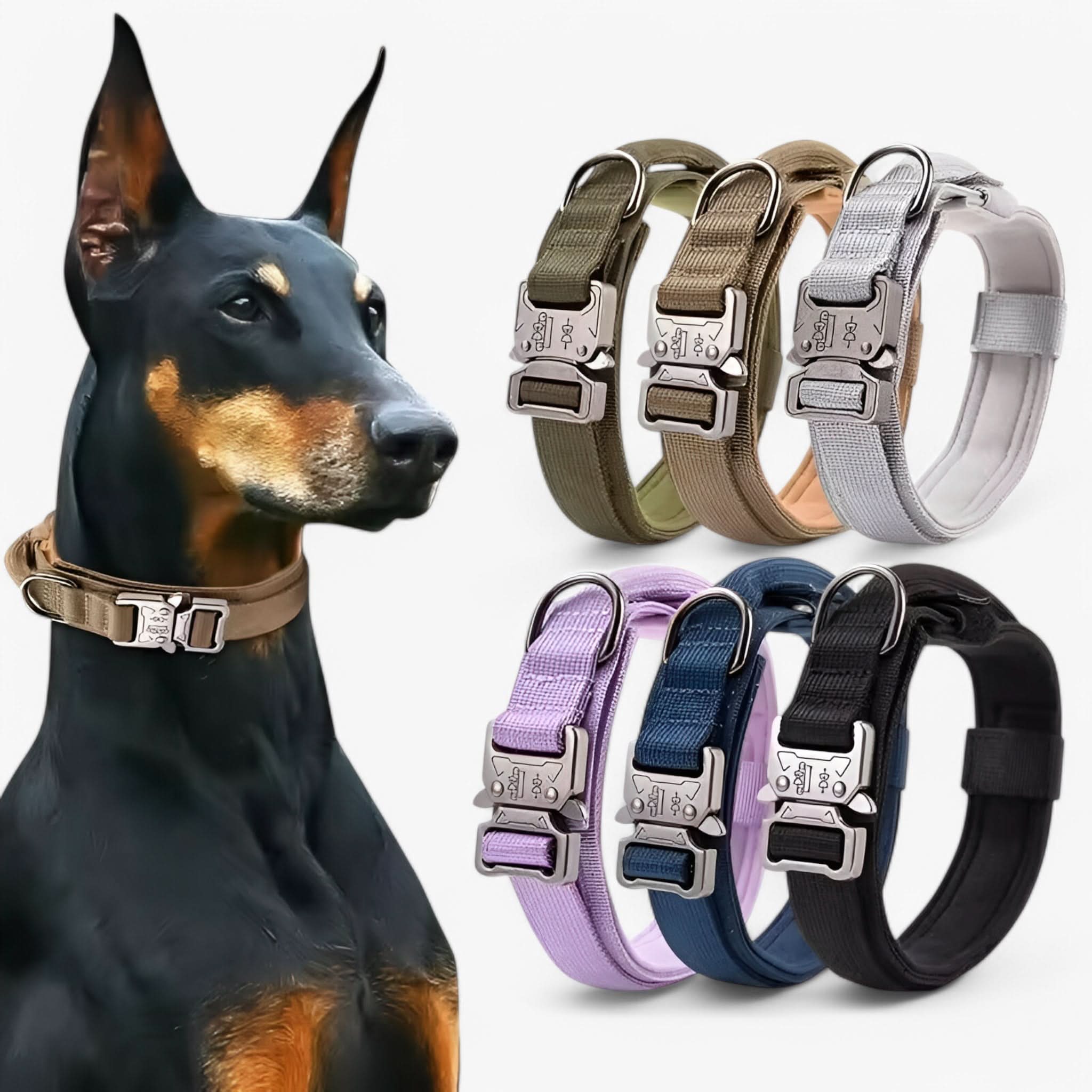 BowLift | OutdoorHeld Dog Collar – For active dogs with endurance