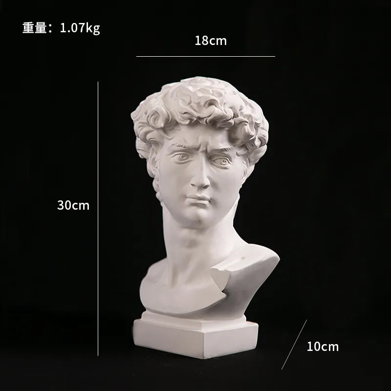 BowLift | European Home Decor David Head Resin Statues Statues Home Decor Modern Abstract Art Bust Sculpture Art Sketch Practice
