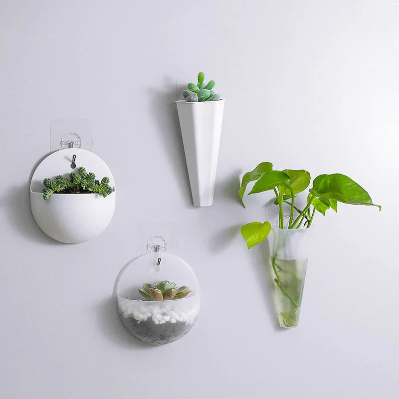BowLift | FloataWall Planter | Floating Design | Self-adhesive for Modern Wall Decoration