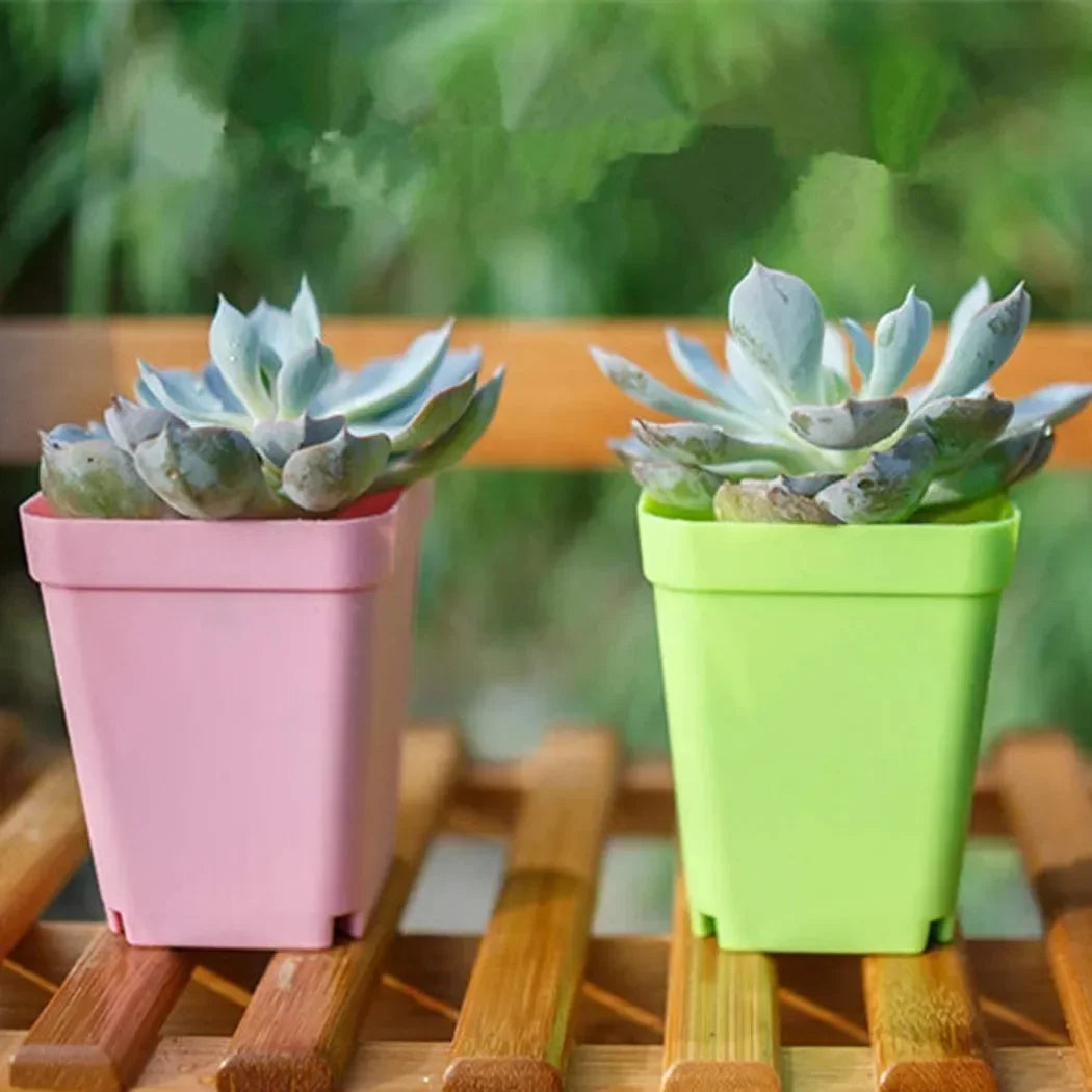 BowLift | Bloomigo Mini Flower Pot Set | Bright Colors | Weatherproof & Ventilated | For Balcony & Indoor