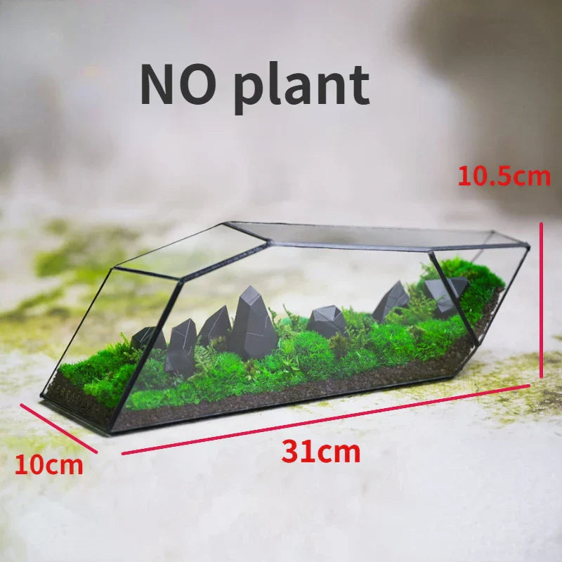 BowLift | Geometric Glass Moss Planter Terrarium Vase