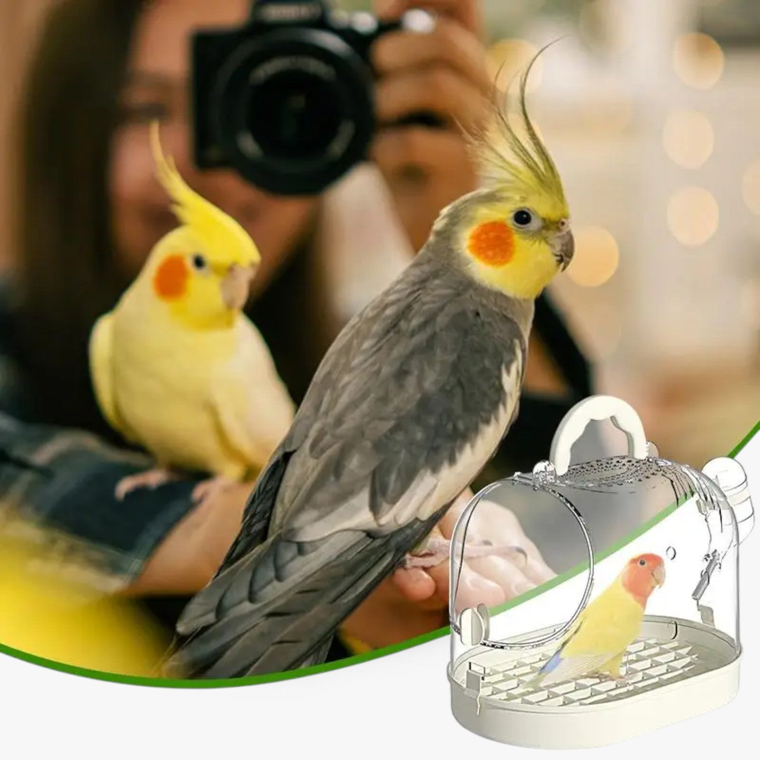 BowLift | Airy Carry Cage "Featherlight" for Small Pets and Birds