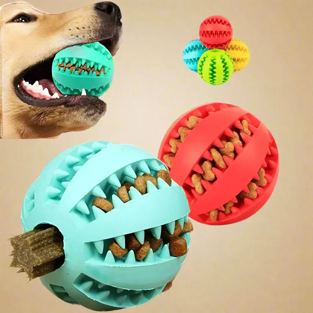 BowLift | KauSpaß Intelligence Ball – For healthy teeth & smart minds