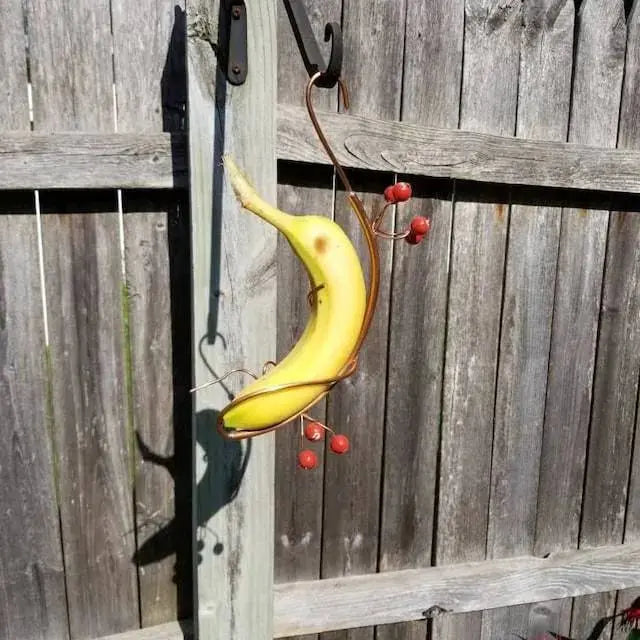 BowLift | Butterfly Banana Holder – Natural Attraction