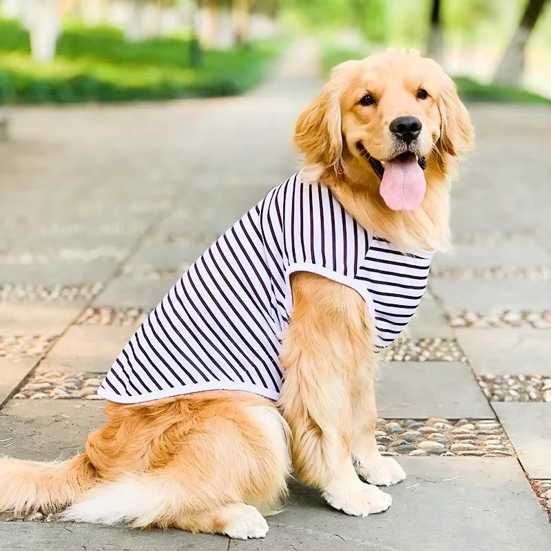 BowLift | Cotton Summer T-Shirt for Large Dogs – Breathable Tee for Golden Retrievers, Huskies, Labradors, Corgis and More