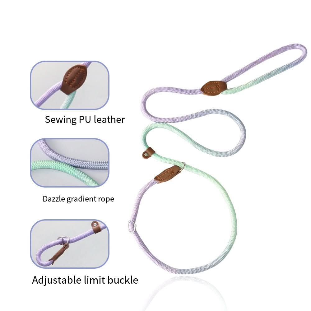 BowLift | Colorful Dog Leash for Stylish Walks