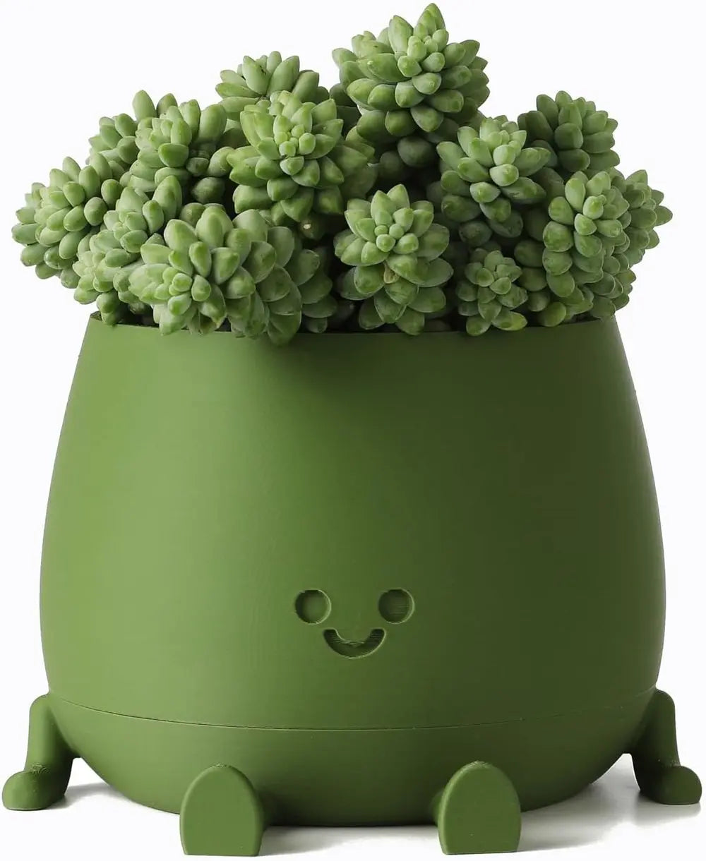 BowLift | Self-watering Flower Pot – Cute face with flexible legs!