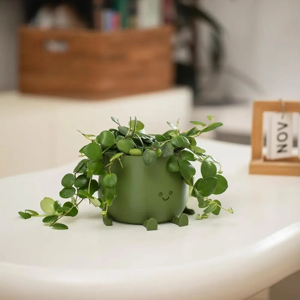 BowLift | Self-watering Flower Pot – Cute face with flexible legs!