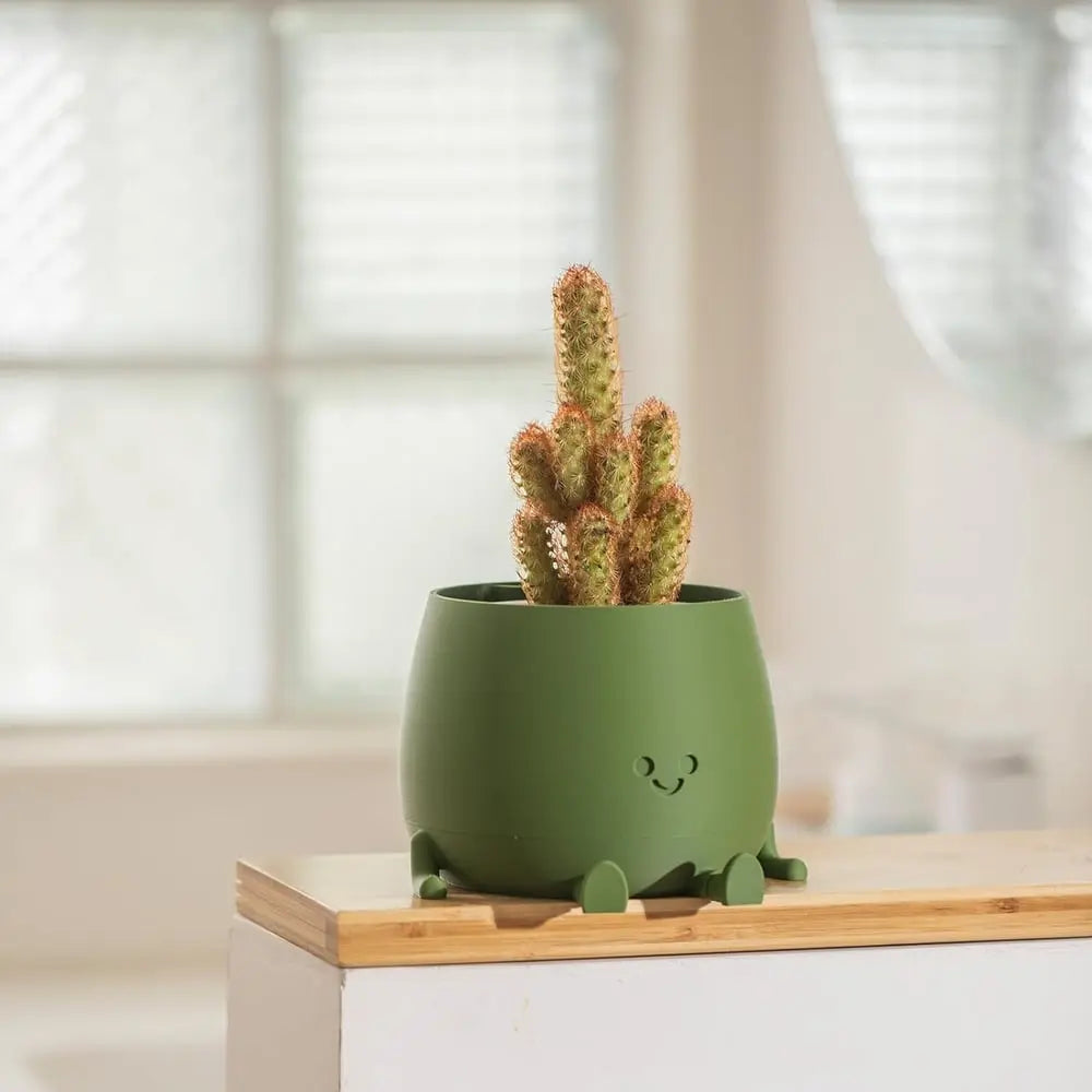 BowLift | Self-watering Flower Pot – Cute face with flexible legs!