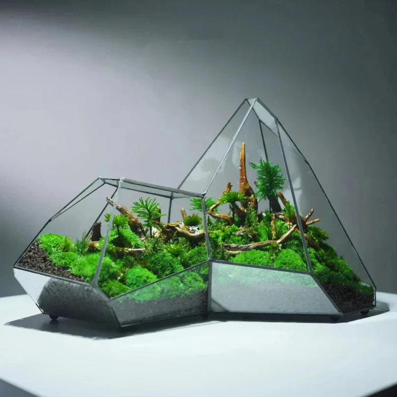 BowLift | Geometric Glass Moss Planter Terrarium Vase