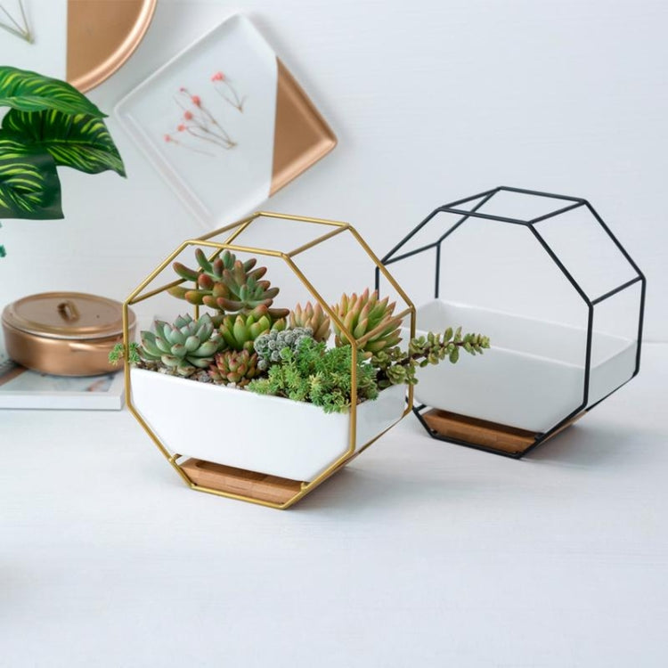 BowLift | Simple octagonal geometric wall-mounted table succulent plate bamboo support iron frame flower pot (Gold)