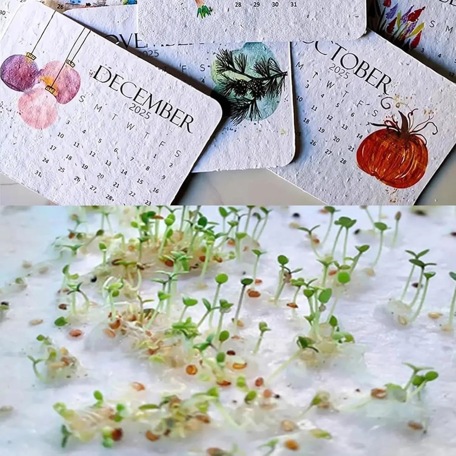 BowLift | Eco-friendly Plantable Seed Calendar 2025 – Grow Year-Round