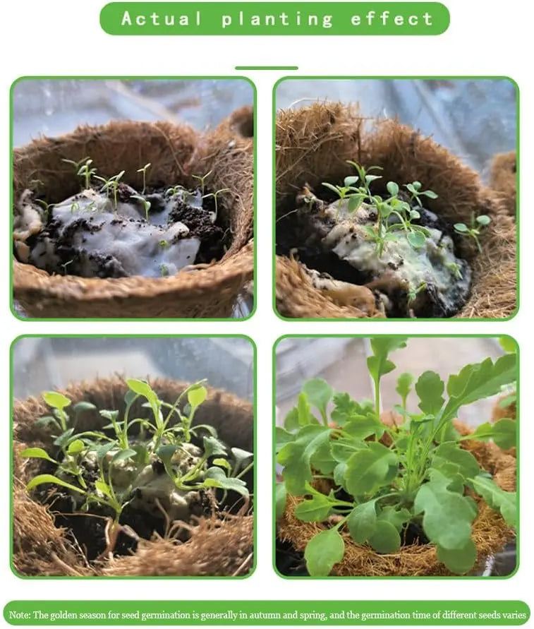 BowLift | Eco-friendly Plantable Seed Calendar 2025 – Grow Year-Round