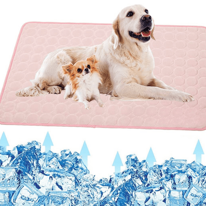 BowLift | Cooling dog mat for instant refreshment & comfort