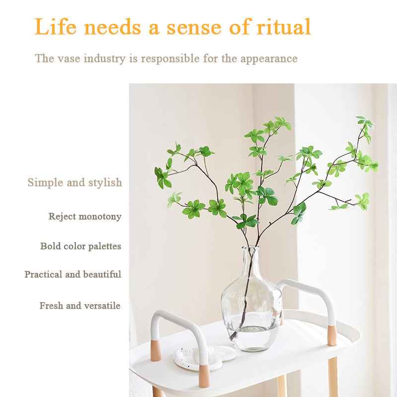 BowLift | High-End Vase Ornaments, Simple Living Room Flower Arrangement Glass Transparent Vase