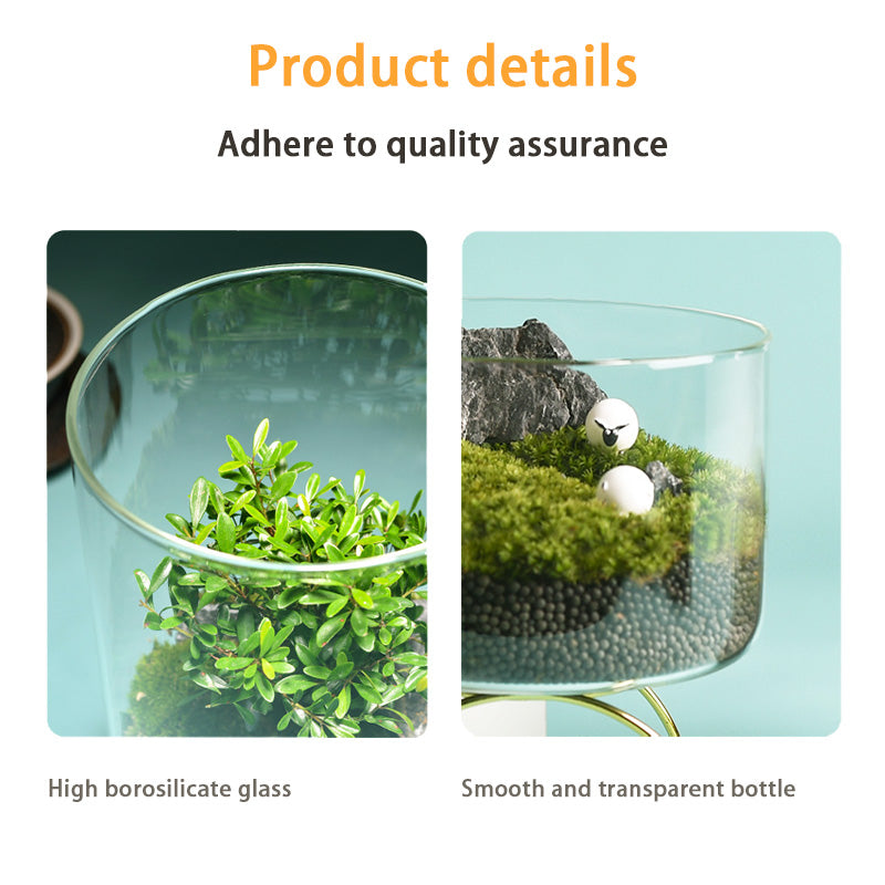 BowLift | High Borosilicate Glass Vase, Micro Landscape Hydroponic Plant Straight Glass Jar, Ornamental Living Room Flower Arrangement Art Vase