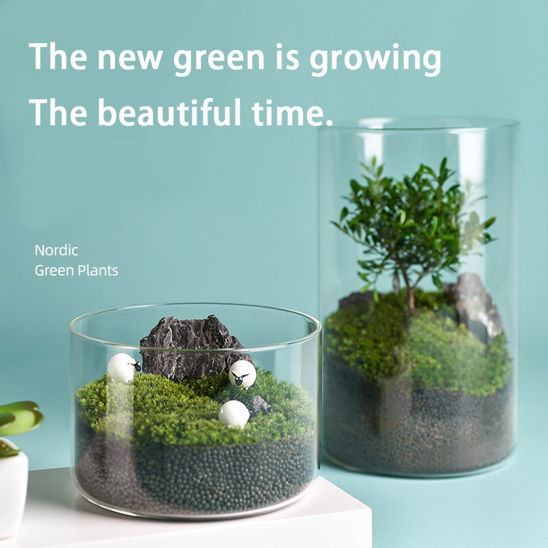 BowLift | High Borosilicate Glass Vase, Micro Landscape Hydroponic Plant Straight Glass Jar, Ornamental Living Room Flower Arrangement Art Vase