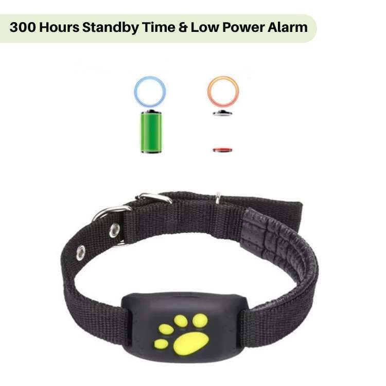 BowLift | #1 Find GPS Cat Tracker with Real-Time Location, Waterproof Design, and Activity Monitoring for Pet Safety and Tracking