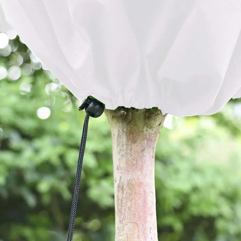 BowLift | COEN – Simple and eco-friendly cover