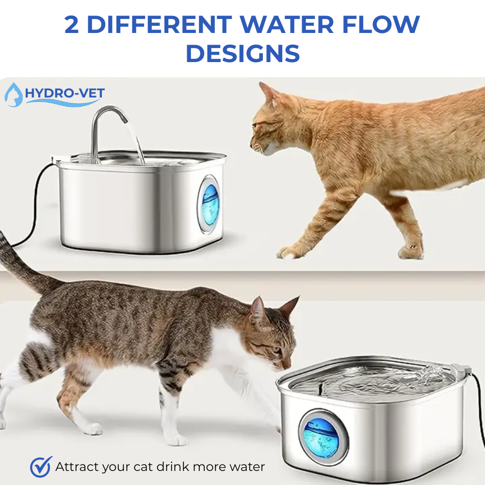 BowLift | AquaSoft Whisper Quiet Drinking Fountain for Pets – 3.2L with LED, Stainless Steel & 5-Stage Filtration