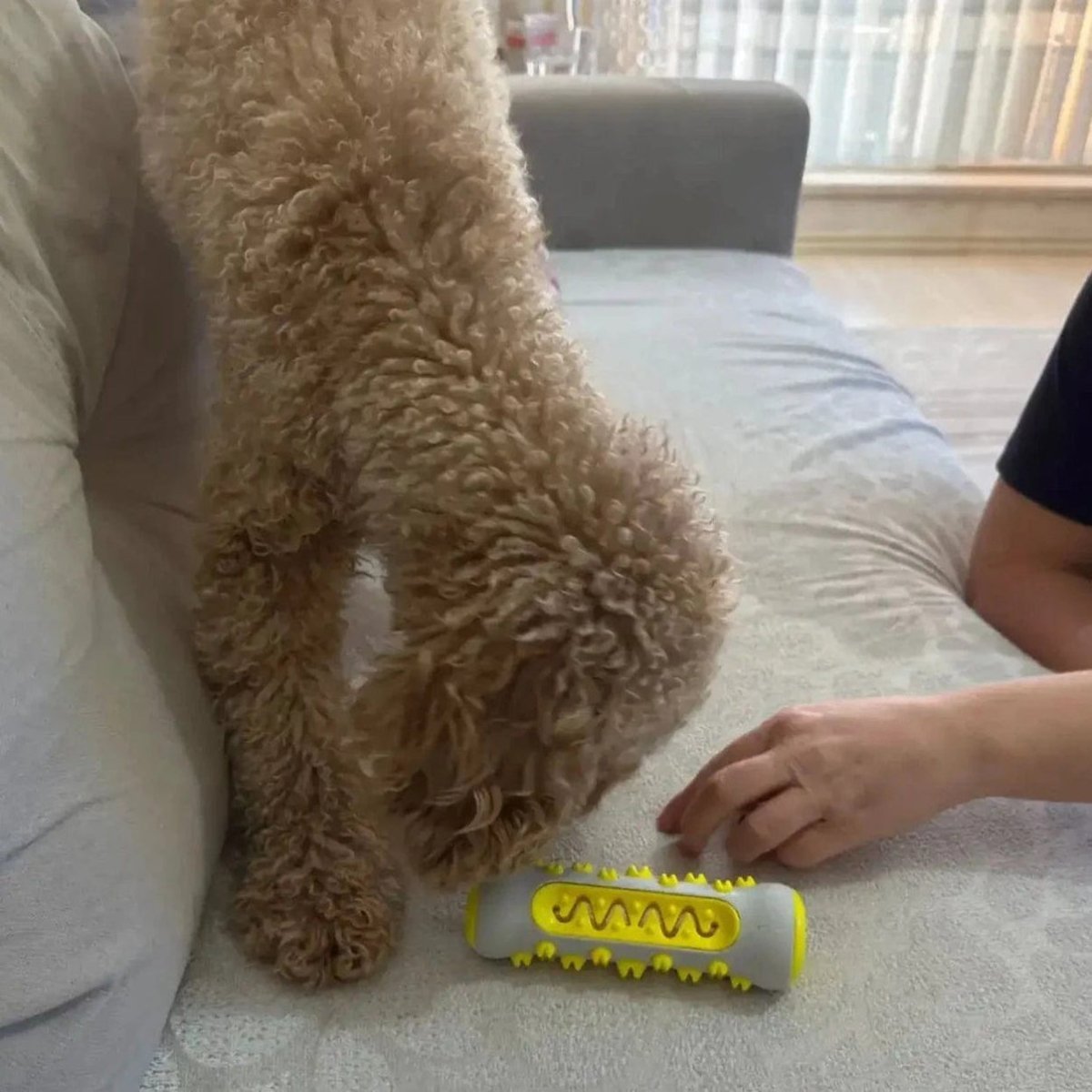 BowLift | Fragrant Dog Toy with Gentle Herbal Infusion