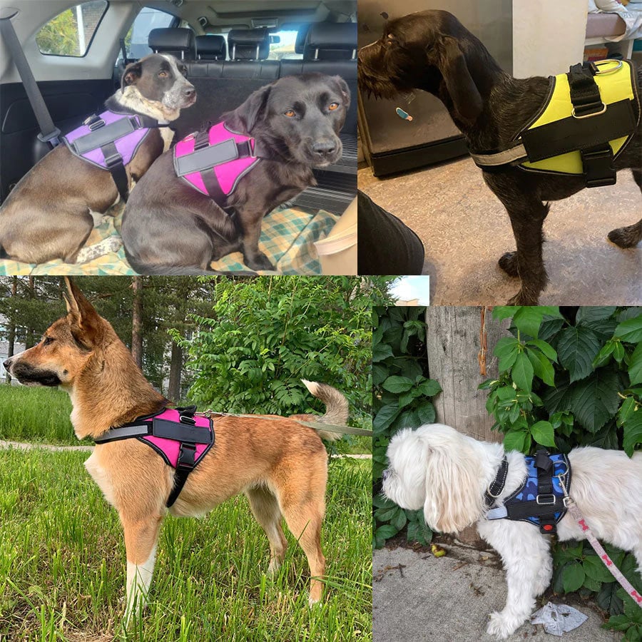 BowLift | Anti Choke Dog Harness