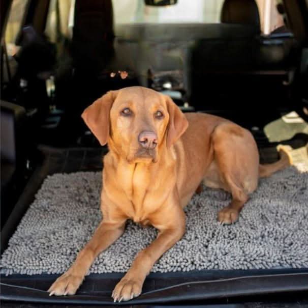 BowLift | FURLINE - Door mat for dogs