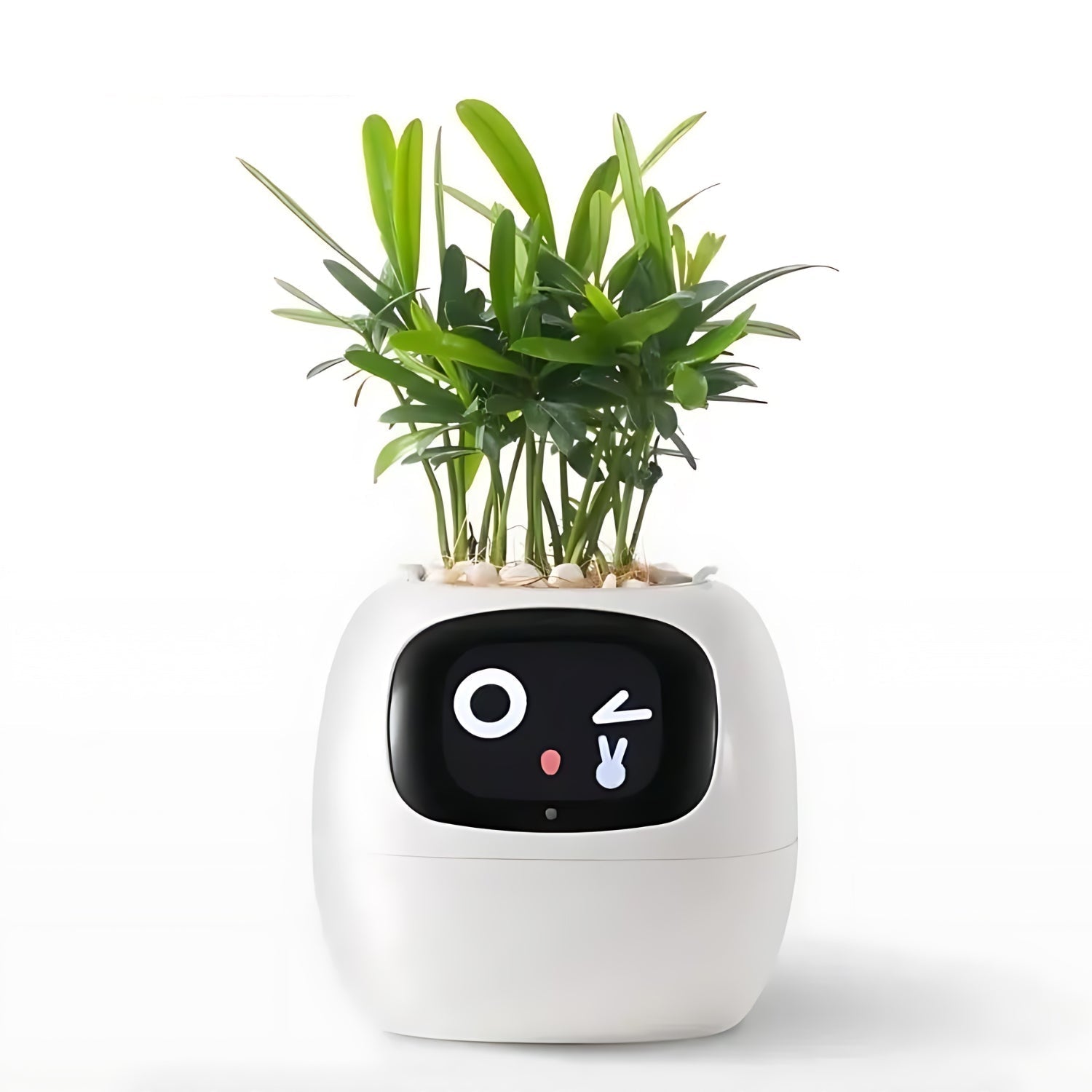 BowLift | Automatic Smart Flowerpot - GreenBuddy SmartPot