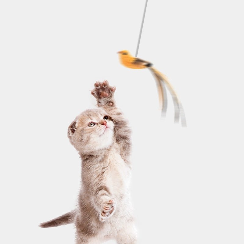 BowLift | Cat Toy - HunterCat™