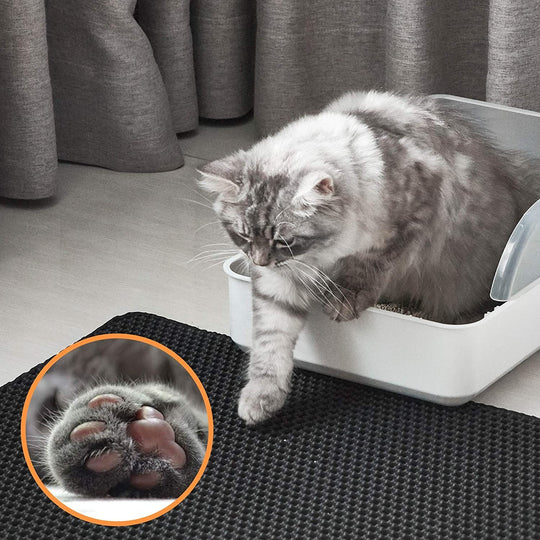 BowLift | Cat Litter Mat with Double-Layer Trap and Non-Slip Base – PawGuard