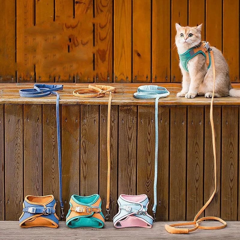 BowLift | Cat Vest And Belt Kit Pet Traction Rope