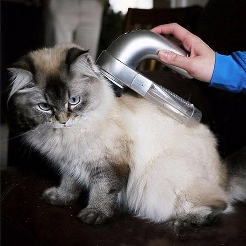 BowLift | Best handheld vacuum for pet hair