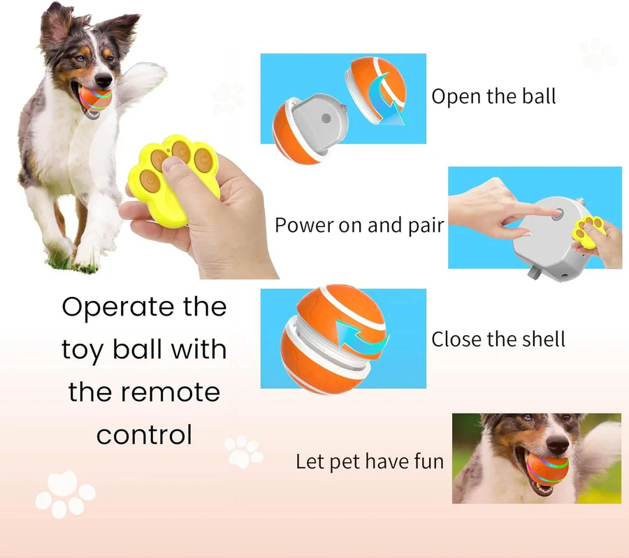 BowLift | Interactive Dog and Cat Ball Toy