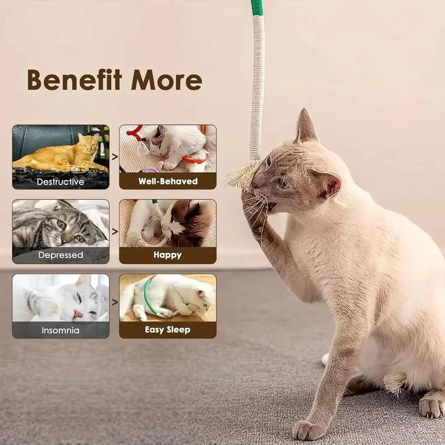 BowLift | Cat Chew Toys for Healthy Play