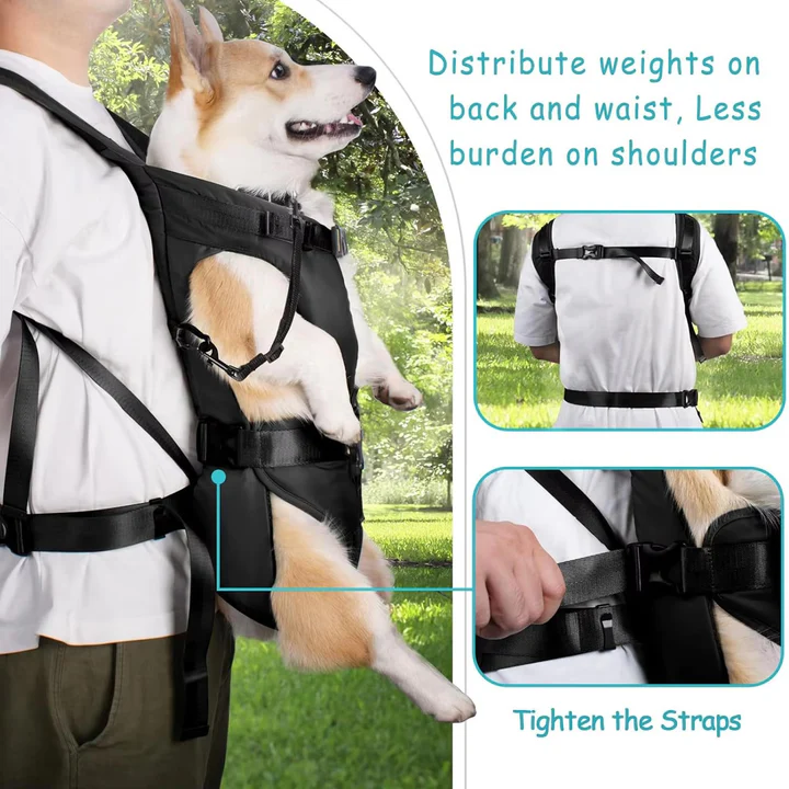 BowLift | Dog Carrying Backpack