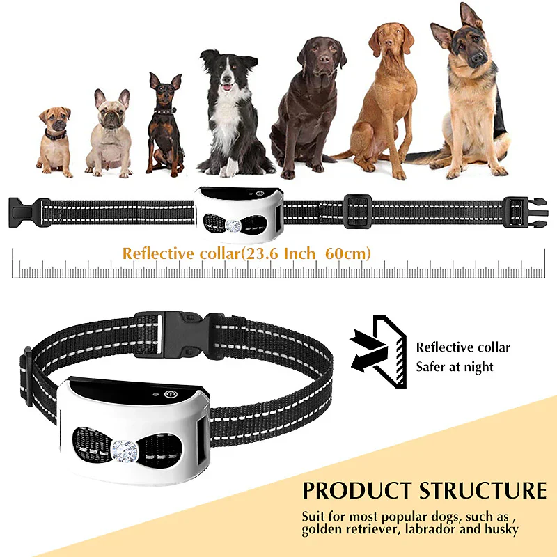 BowLift | 2-in-1 Wireless Dog Fence & Outdoor Training Collar