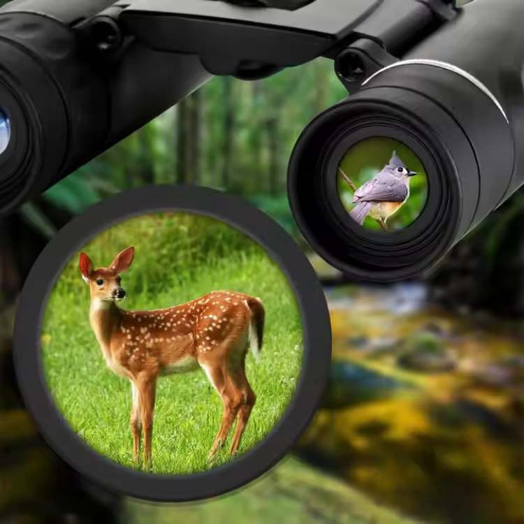 BowLift | 40x22 HD Long-Range Binoculars | Lightweight, Multi-Coated Lenses for Bird Watching, Wildlife Observation & Stargazing