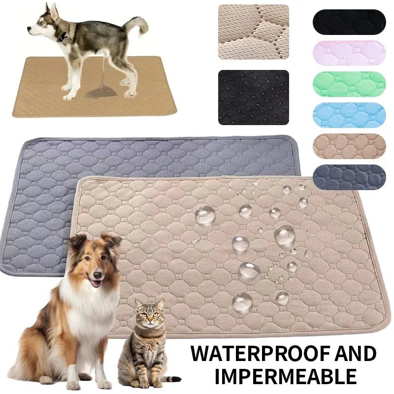 EcoComfort • Washable Dog Pee Pads - Dog Pee Pads - BowLift