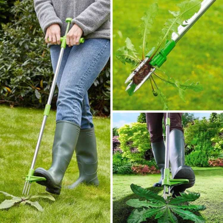 BowLift | Garden Weed Removal Tool Stainless Steel Root Puller