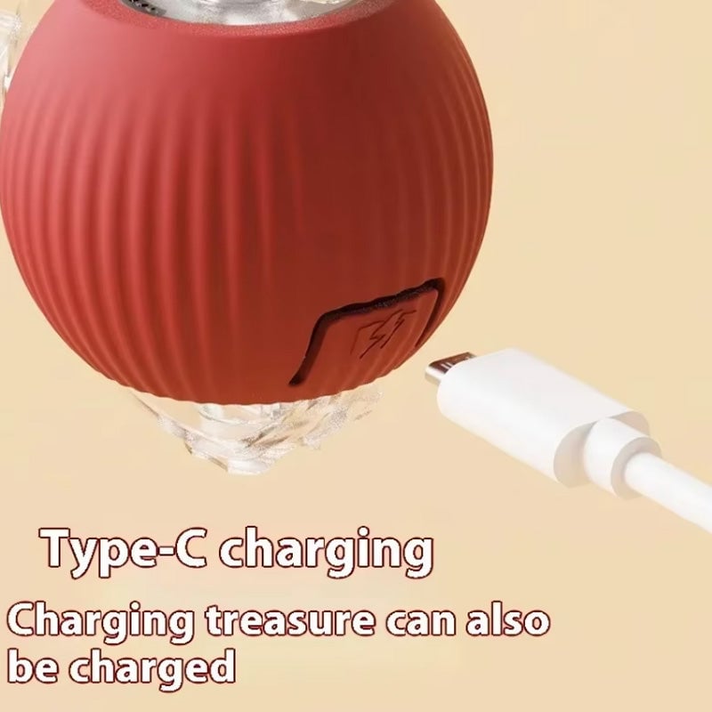 BowLift | Interactive Cat Toy Ball for Indoor Use