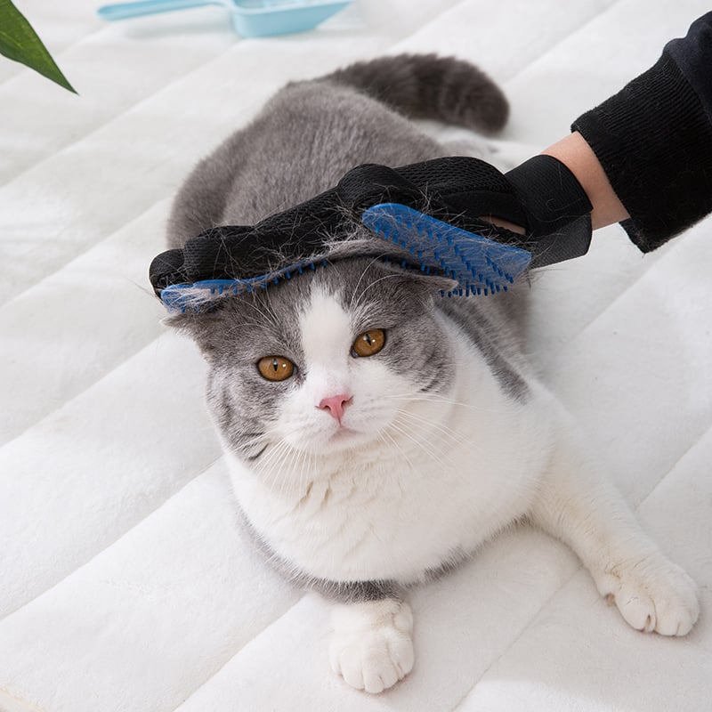 BowLift | Cat grooming glove for cats wool glove Pet Hair Deshedding Brush Comb Glove For Pet Dog Cleaning Massage Glove For Animal Sale