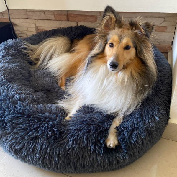 BowLift | Calming Faux Fur Washable Dog Bed Cushion