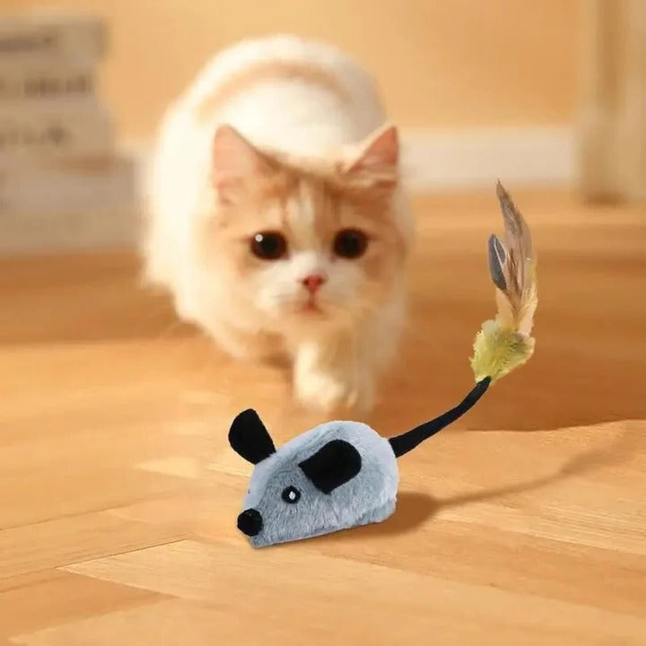 BowLift | Intelligent Mouse Toy