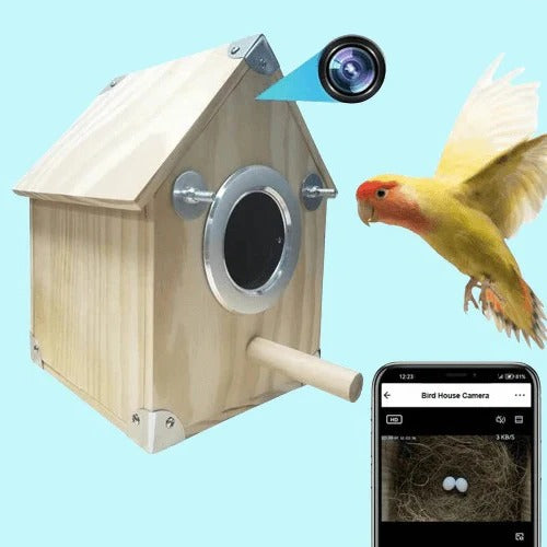 BowLift | Bird Watching Nesting Feeder Nest