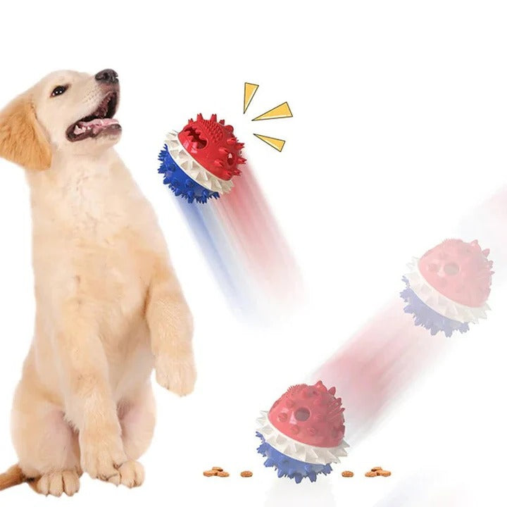 BowLift | Interactive Self-Playing Pet Toy