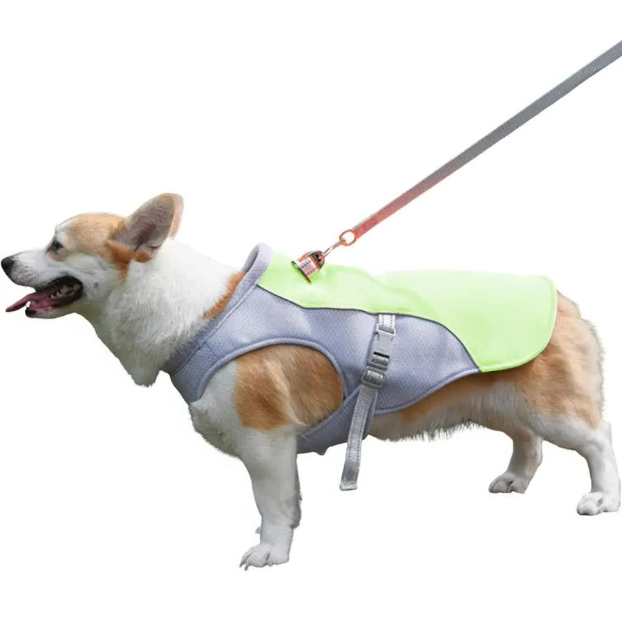 BowLift | Dog Cooling Vest for Outdoor Activities